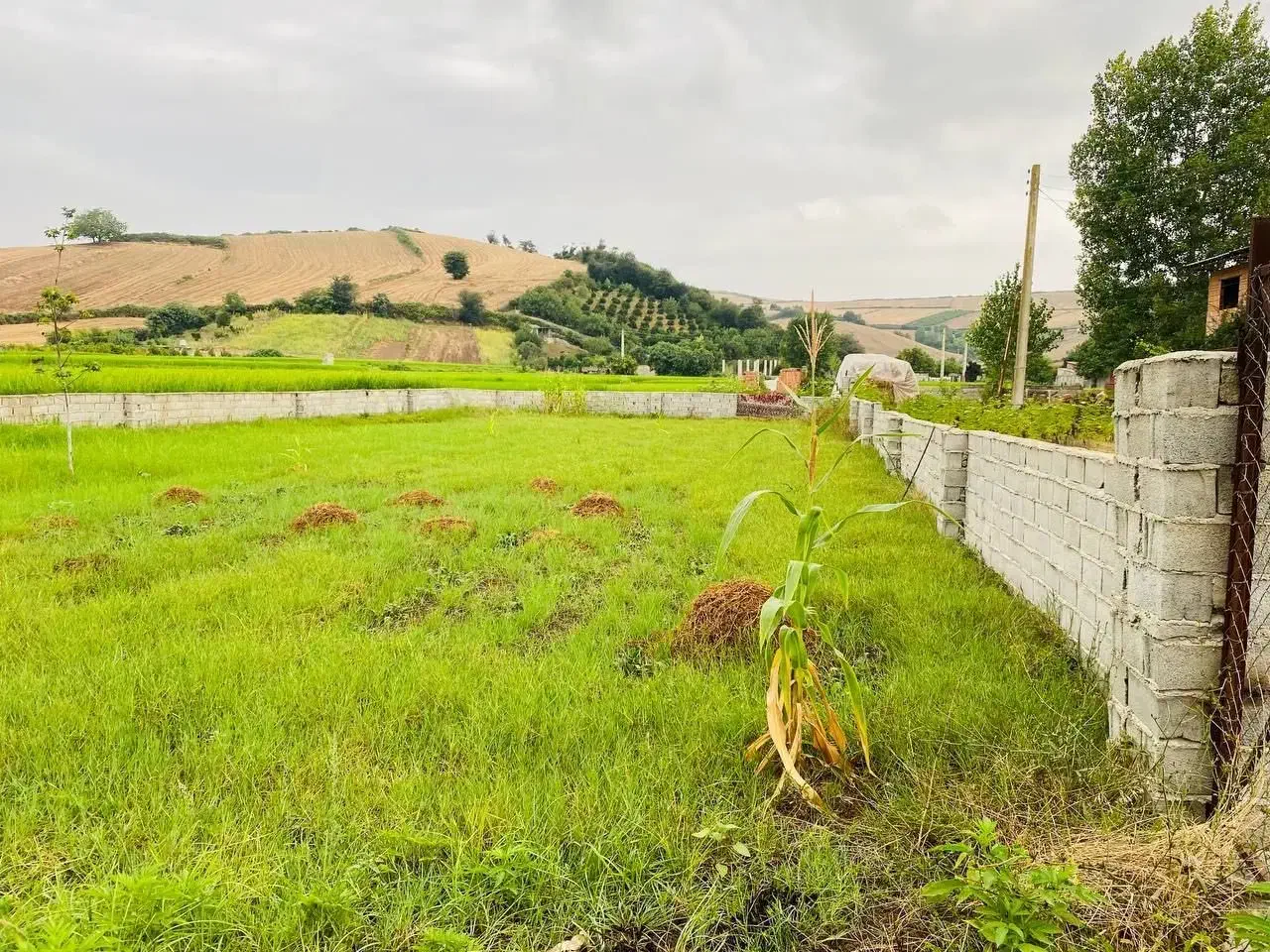 فروش زمین مسکونی ۵۰۰ متری|فروش زمین و ملک کلنگی|نکا, |دیوار