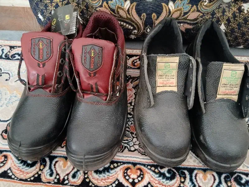 کفش|کیف، کفش، کمربند|مرودشت, ثبت احوال|دیوار