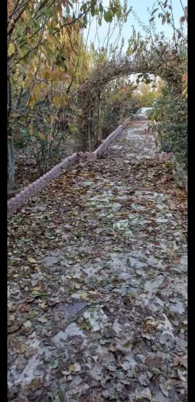 باغچه|فروش زمین و ملک کلنگی|چهاردانگه (تهران), |دیوار