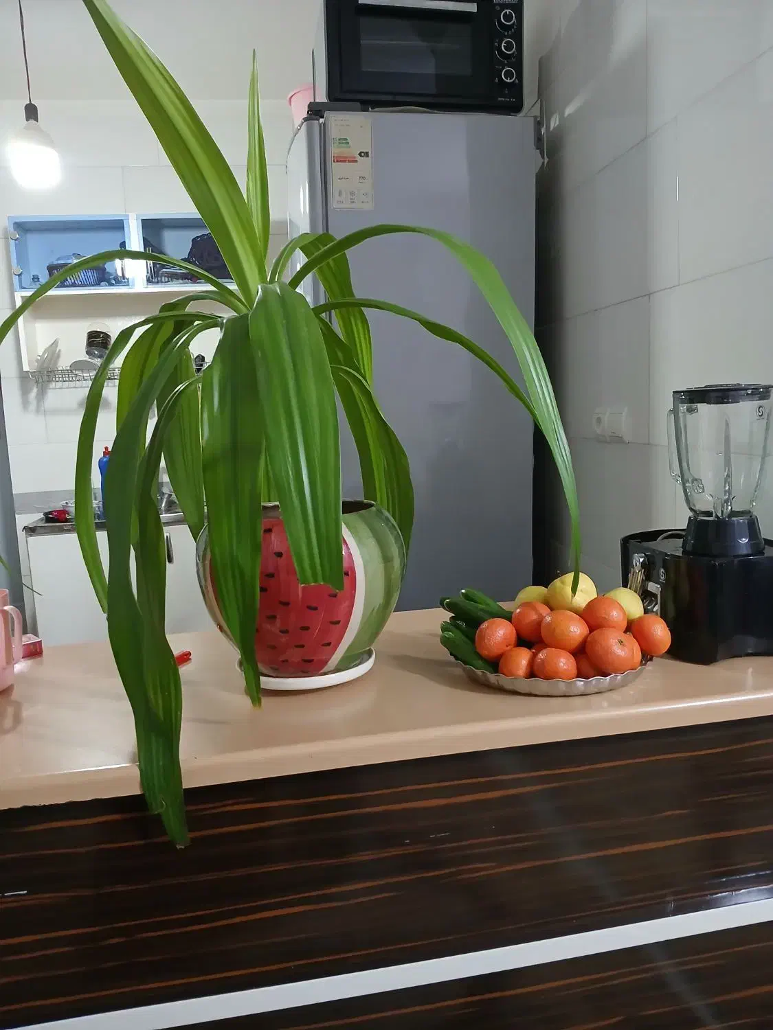 گل زیبا|گل و گیاه طبیعی|سنندج, |دیوار