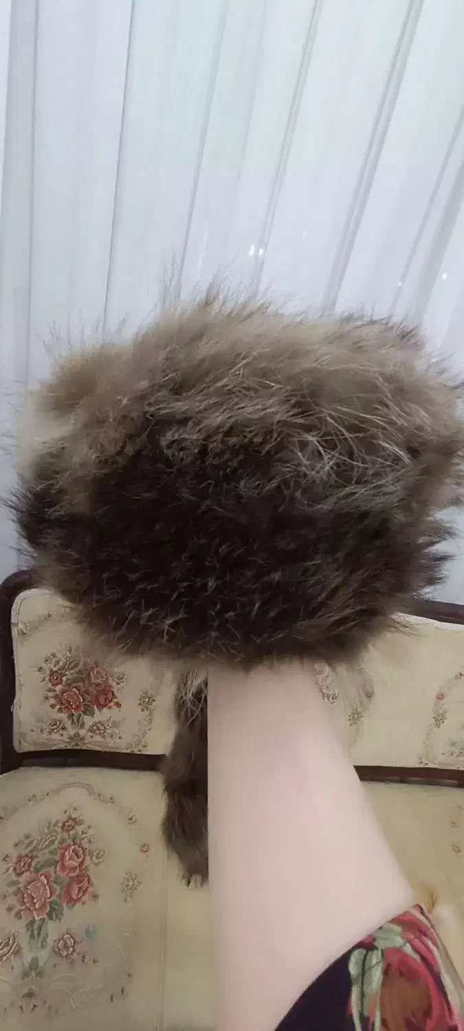 کلاه .روسی  طبیعی|لباس|تهران, شهرک گلها (تهرانسر)|دیوار