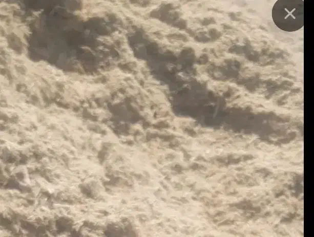 باگاس(کاه نیشکر)|حیوانات مزرعه|مهریز, |دیوار