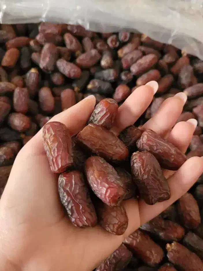 فروش عمده انواع خرما تازه جنوب|خوردنی و آشامیدنی|تهران, مخصوص|دیوار