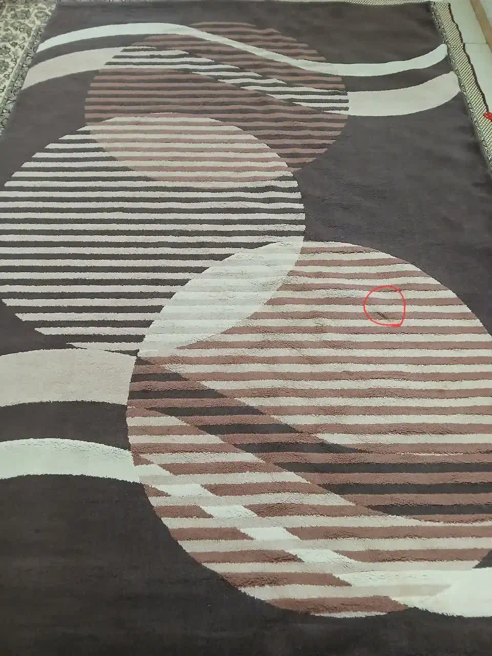 فرش فانتزی ۶متری ساوین|فرش|تهران, اوقاف|دیوار