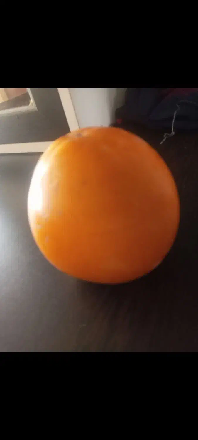 خرمالو ژاپنی|خوردنی و آشامیدنی|آذرشهر, |دیوار