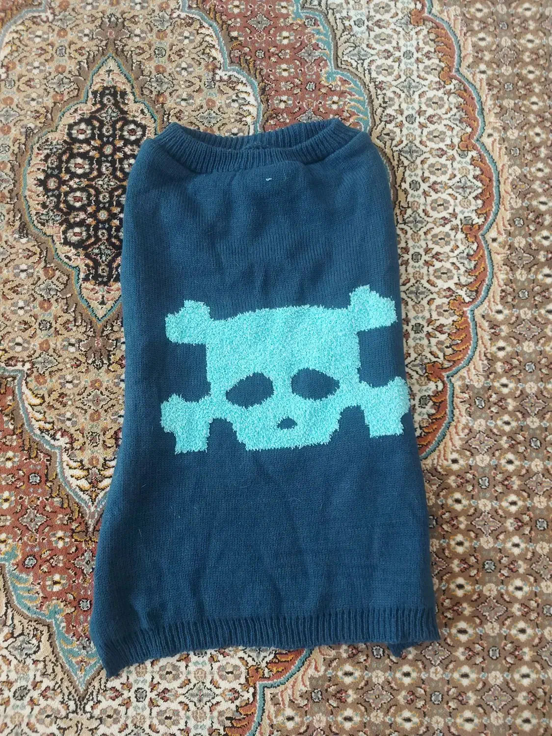 لباس سگ|لوازم جانبی حیوانات|هشتگرد, فاز ۲ مهستان|دیوار