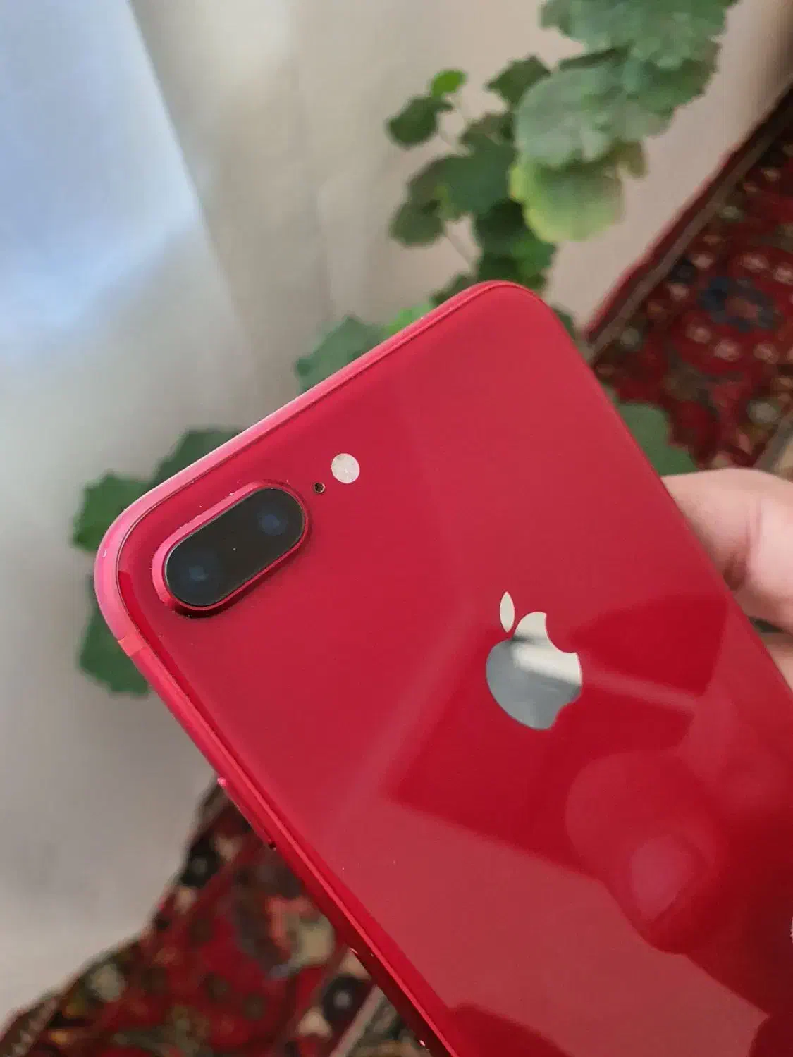 ایفون هشت پلاس|موبایل|ارومیه, |دیوار