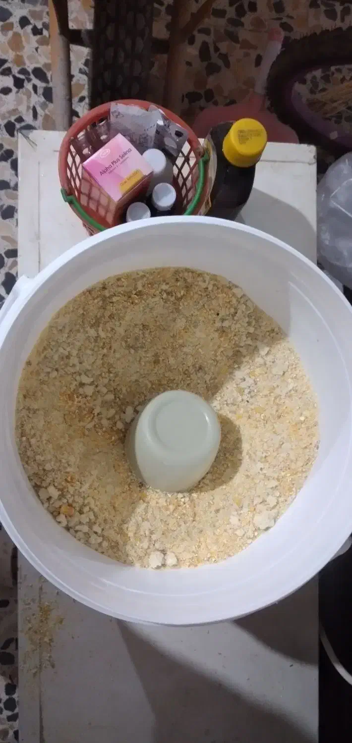 بلدرچین|حیوانات مزرعه|ویسیان, |دیوار