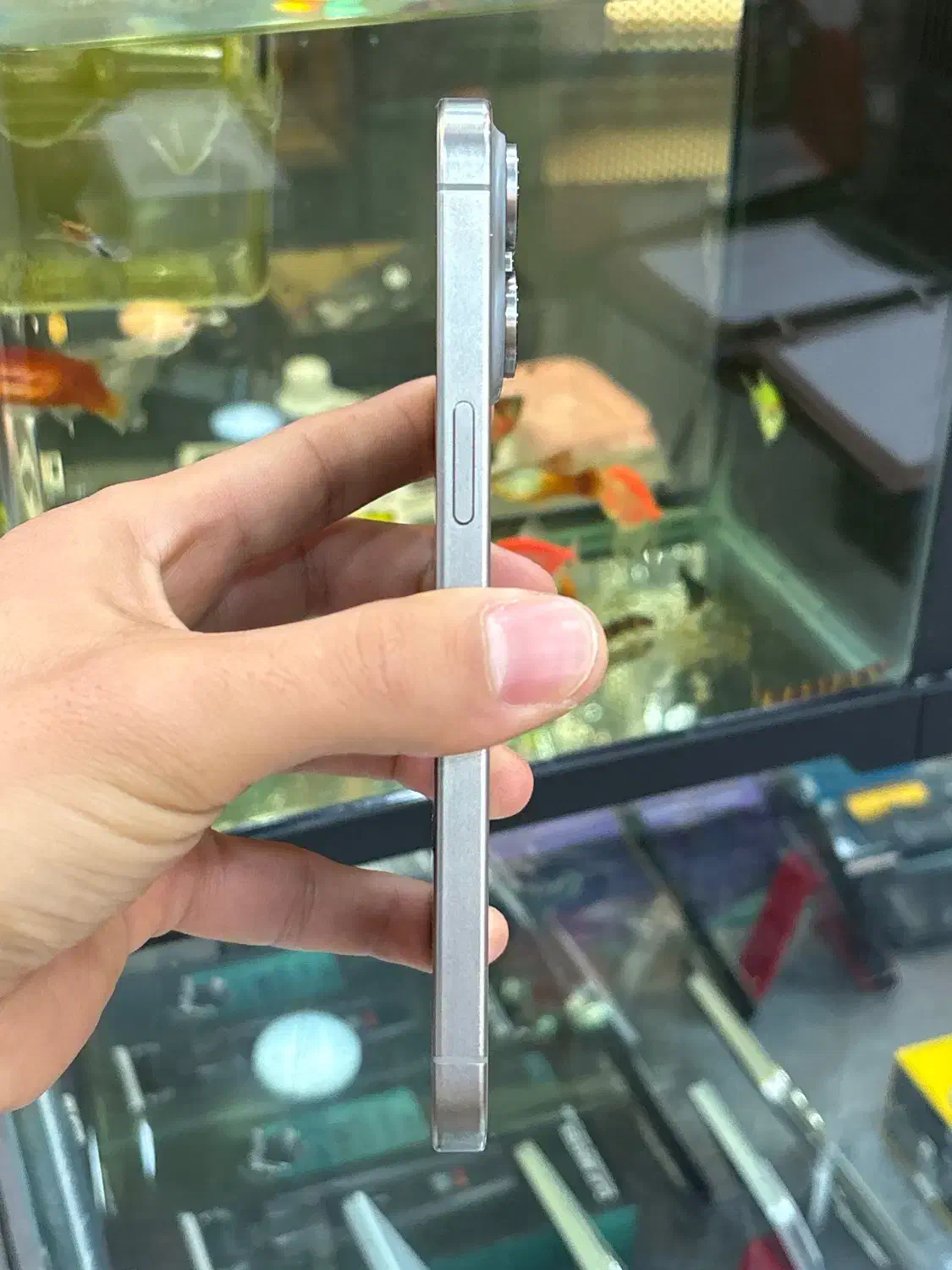 15pro max|موبایل|شیراز, زند|دیوار