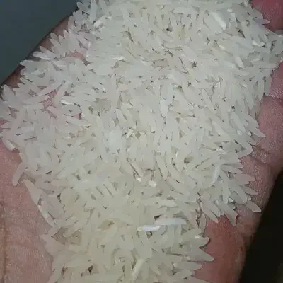 برنج فجر|خوردنی و آشامیدنی|آق قلا, |دیوار