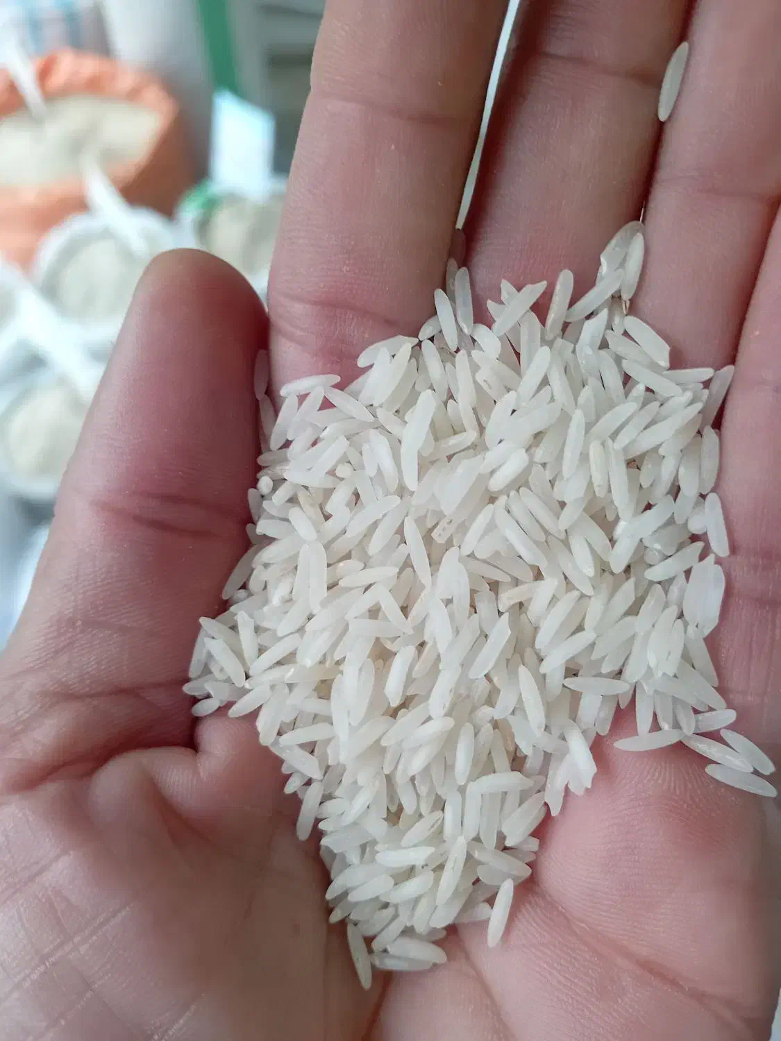 برنج فجر|خوردنی و آشامیدنی|آستانه اشرفیه, |دیوار