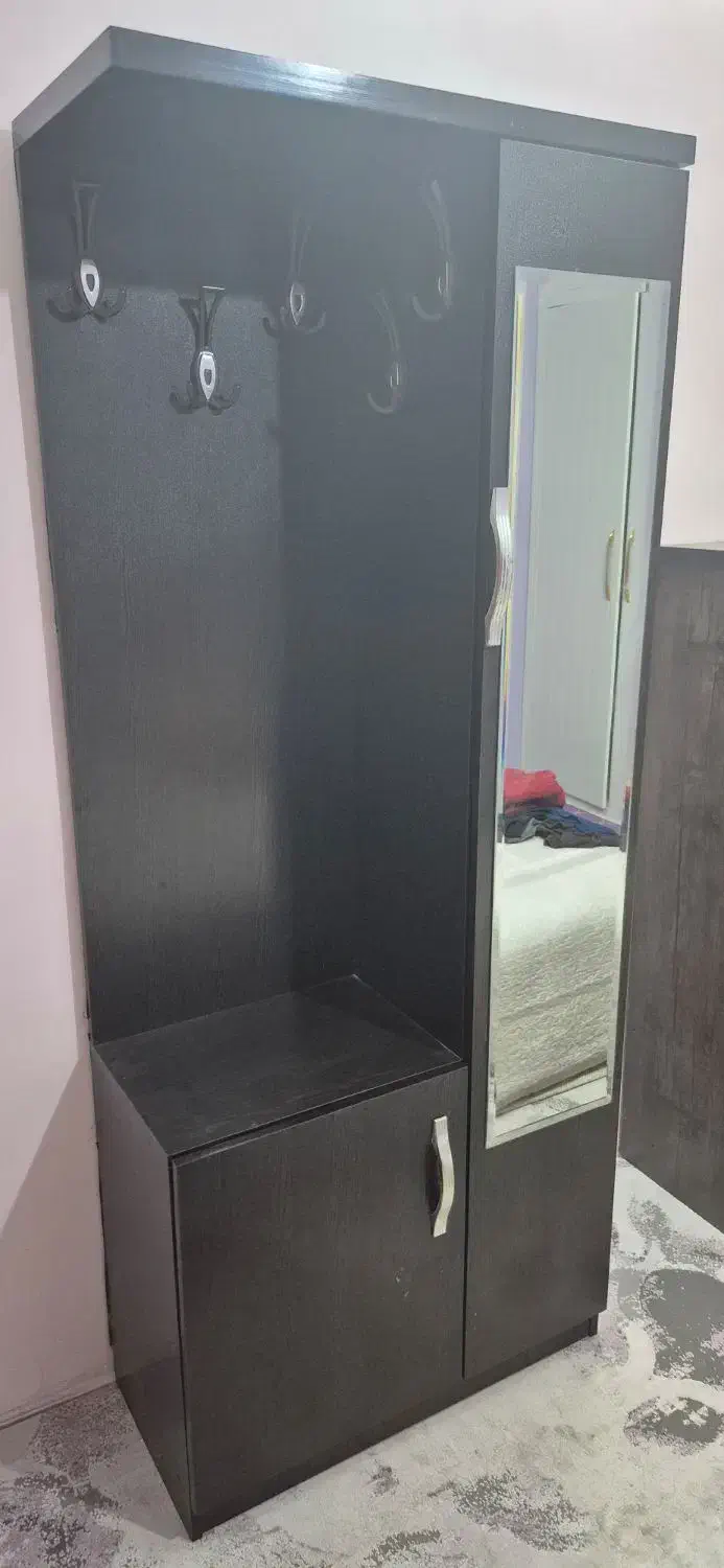 کمد لباس ، کتاب، کفش|جاکفشی، کمد، دراور|گلبهار, شهر جدید گلبهار|دیوار