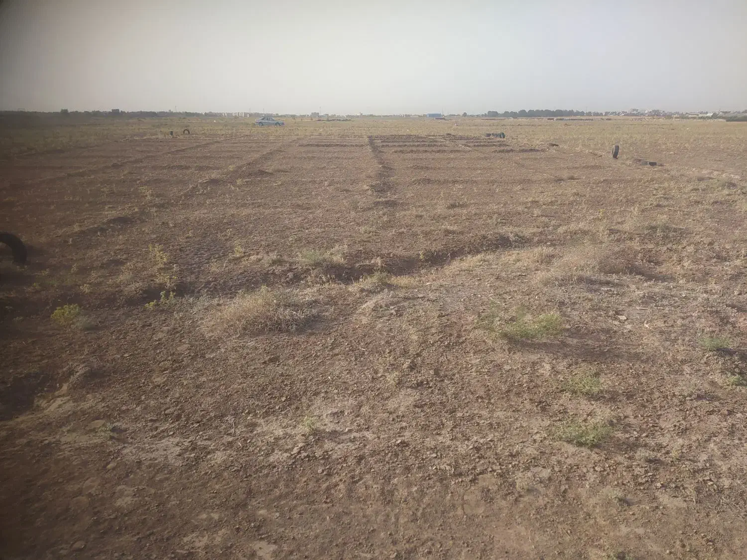 زمین کشاورزی|فروش دفتر صنعتی، کشاورزی، تجاری|تربت جام, میان جام|دیوار