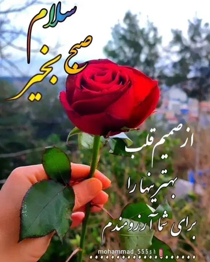 نظافتچی|استخدام سرایداری و نظافت|ری, اقدسیه|دیوار