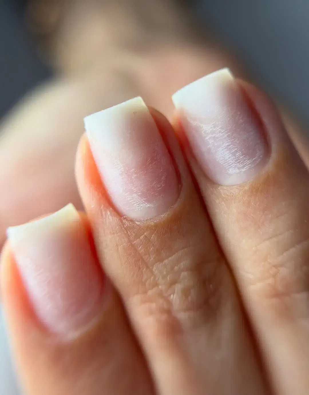 آموزش تخصصی ناخن و مژه همراه با مدارک ۵۰٪خدمات|خدمات آموزشی|بجنورد, |دیوار