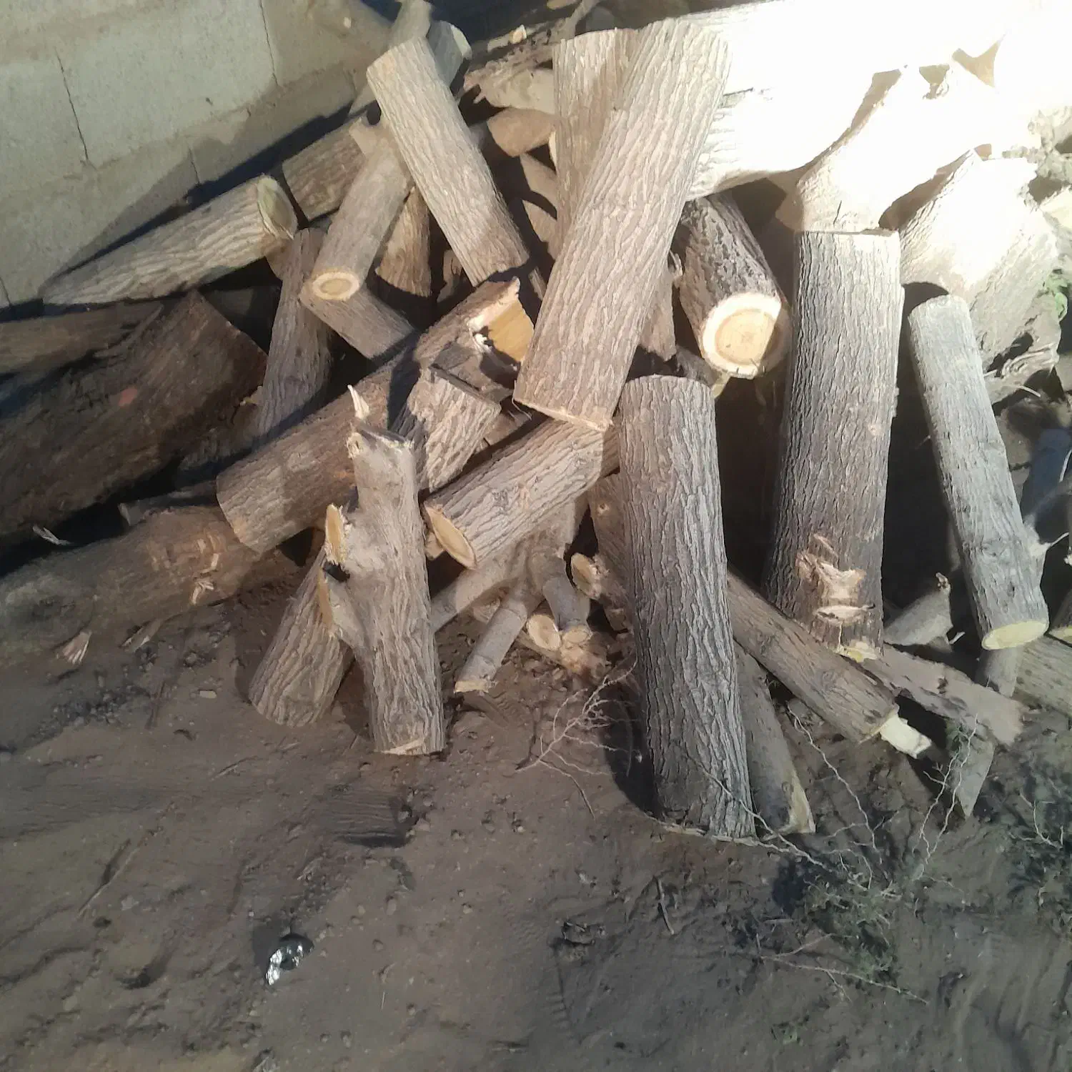 فروش چوب وکنده برای شومینه|بخاری، هیتر، شومینه|سیرجان, |دیوار