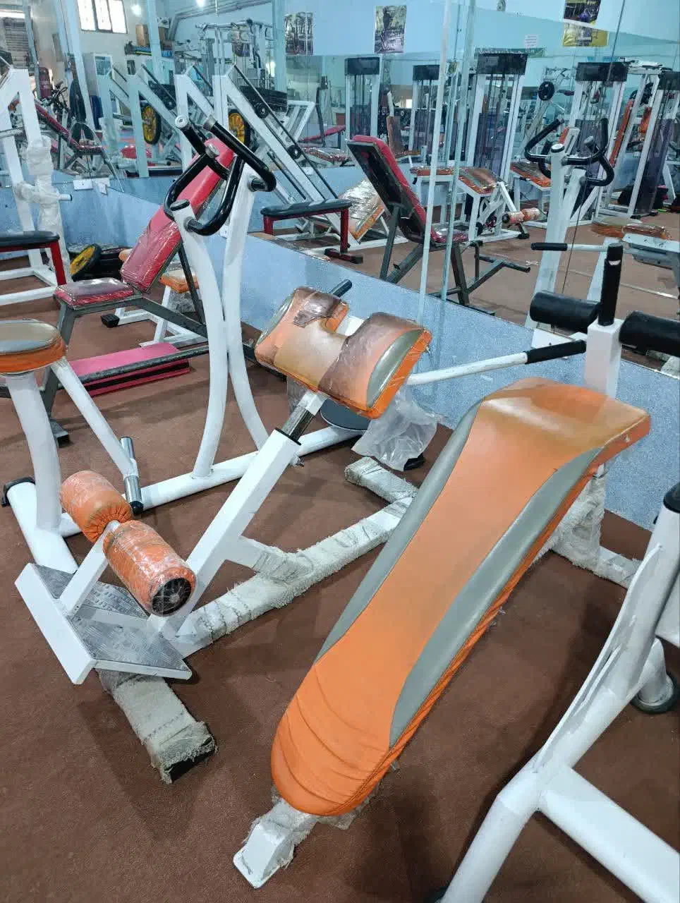 ورزشی|تجهیزات ورزشی|الشتر, |دیوار