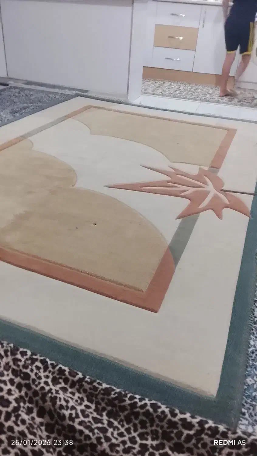 دو عدد فرش شش متری|فرش|پرند, فاز ۶|دیوار