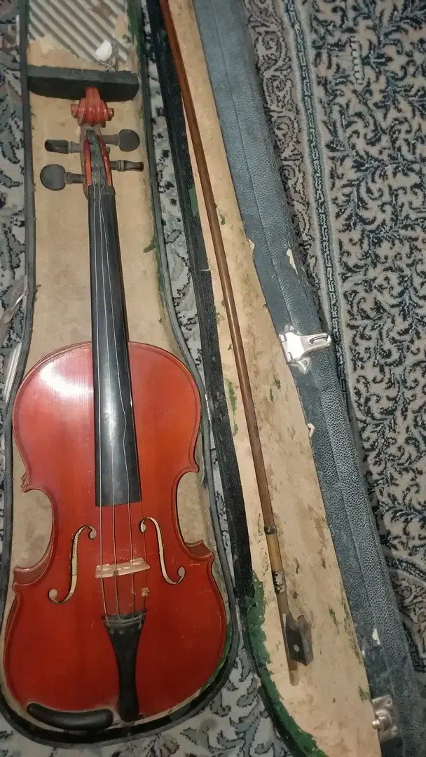 ویولن کلکسیونی|ویولن|اصفهان, دانشگاه اصفهان|دیوار