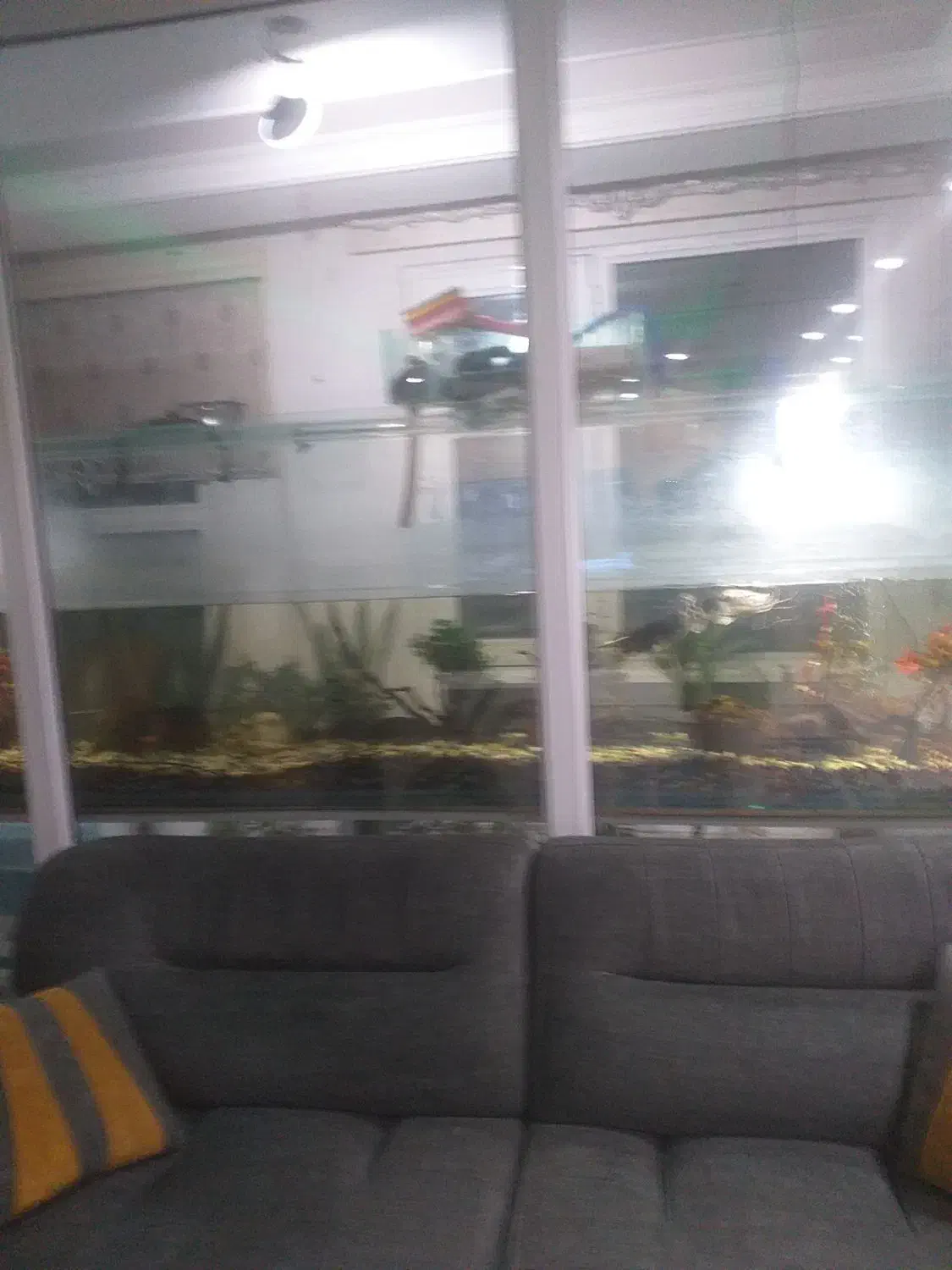 فروش آپارتمان ۲۹۲ متری ۳ خوابه تا ۷میلیارد تهاتر|فروش آپارتمان|کهریزک, |دیوار