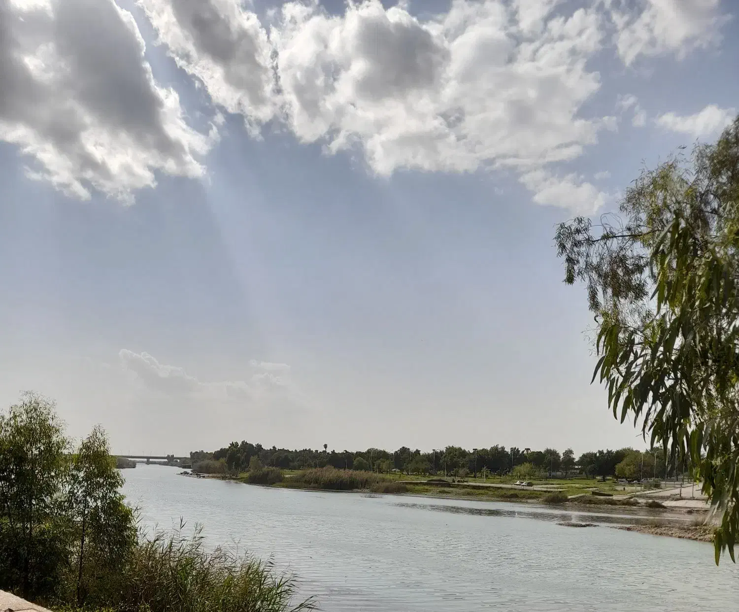 پرس یونجه|لوازم جانبی حیوانات|بیرانوند, |دیوار