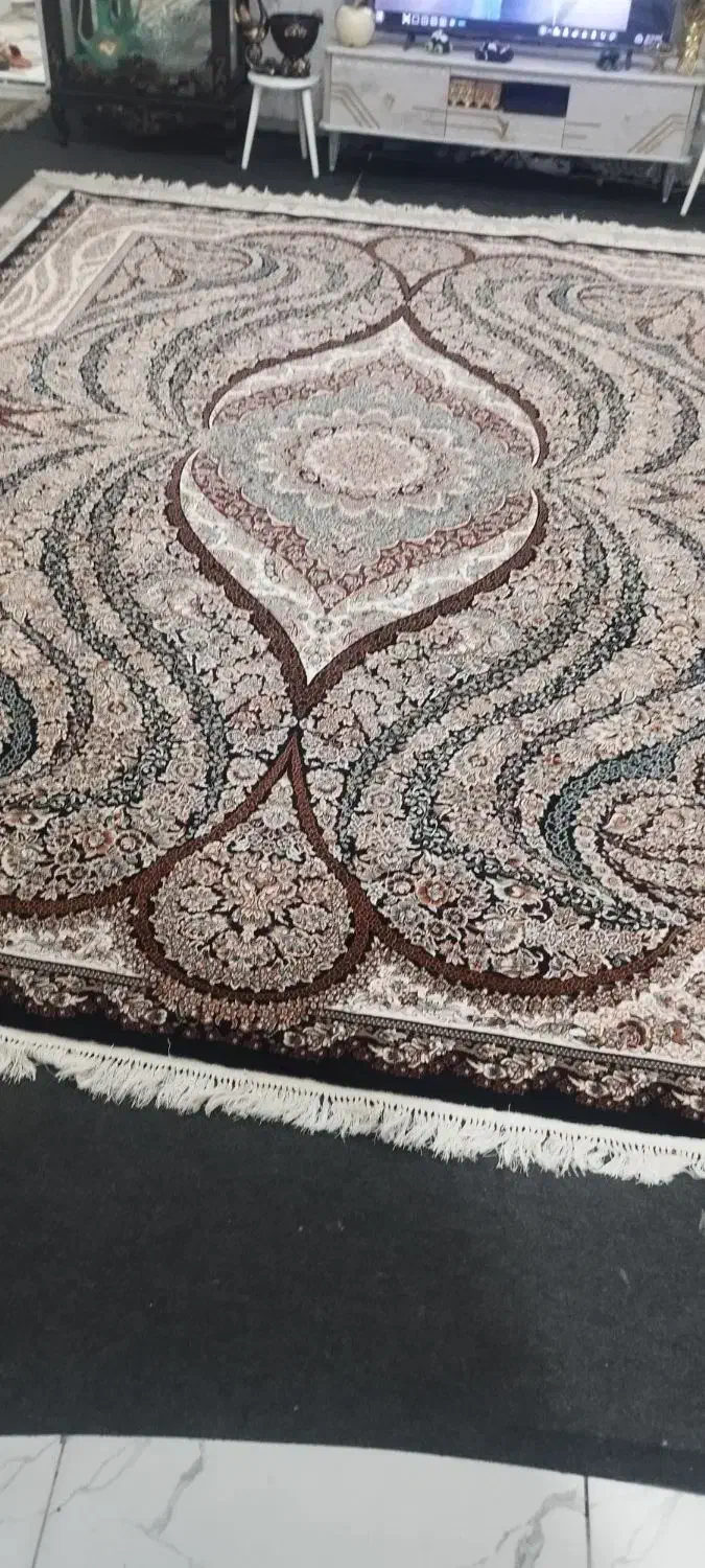 سمساری مطلق|خدمات پیشه و مهارت|بوشهر, |دیوار