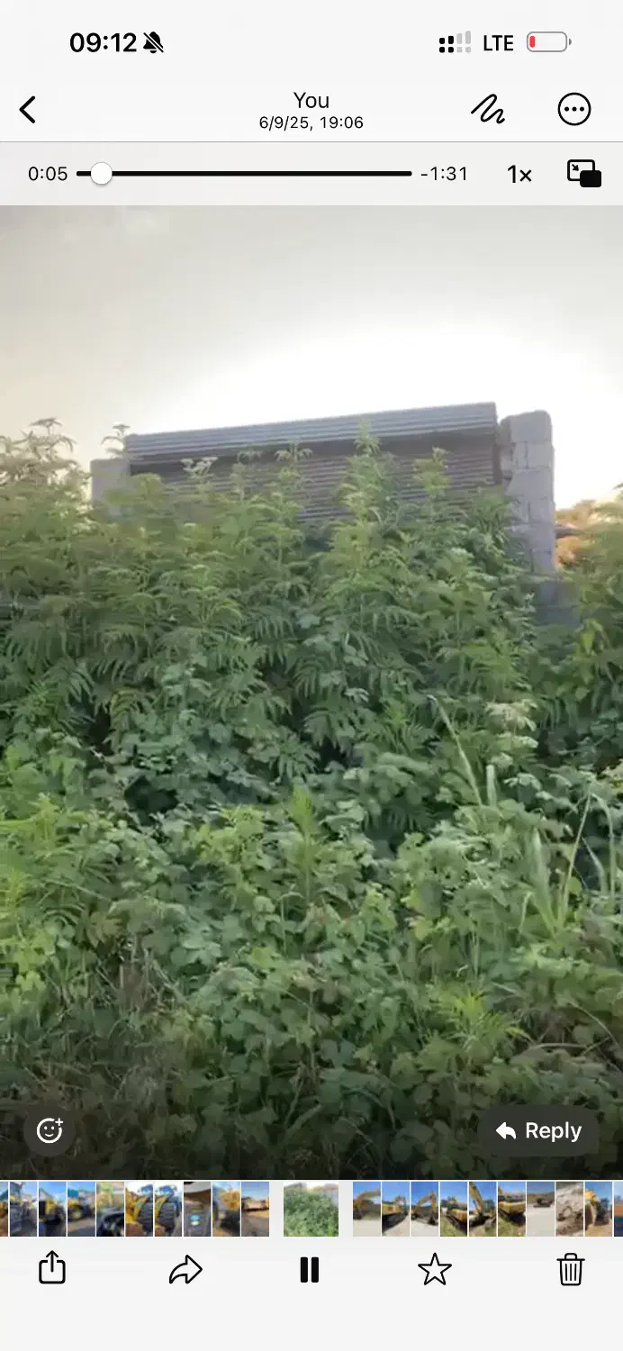 فروش زمین ۲۱۴ متری|فروش زمین و ملک کلنگی|رودسر, |دیوار