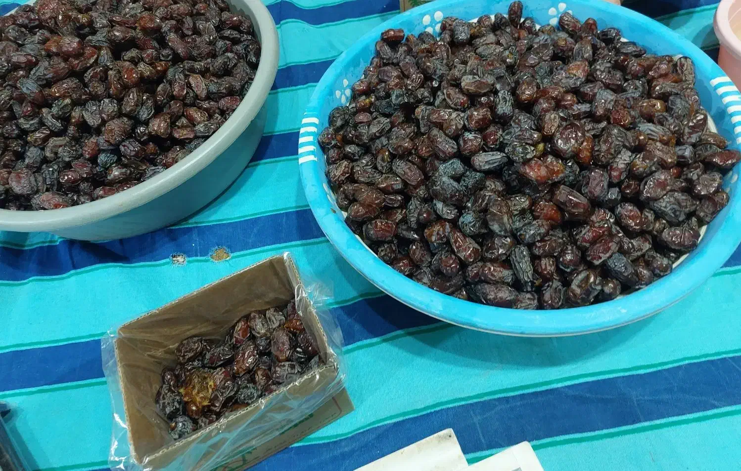 خرمای کبکاب اهرم|خوردنی و آشامیدنی|اهرم, |دیوار