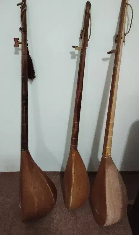 دوتار|سازهای سنتی|تربت جام, شاهد|دیوار