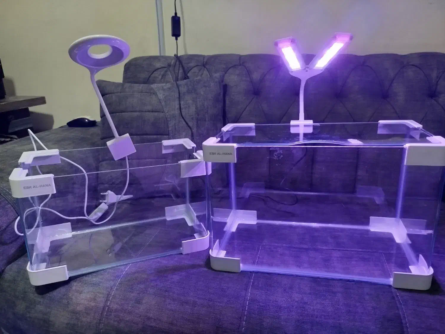 خاک پلنت و غذا ماهی|ماهی|زابل, |دیوار