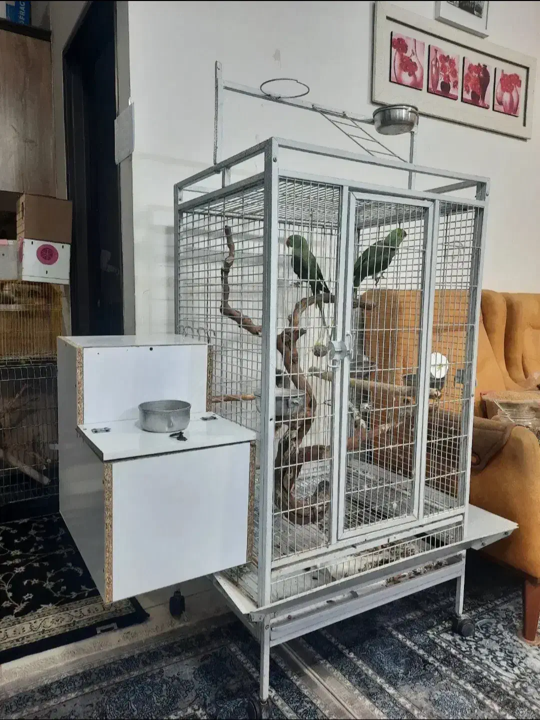قفس پرنده . قفس بزرگ . قفس مسافرتی|لوازم جانبی حیوانات|رباطکریم, رباطکریم|دیوار