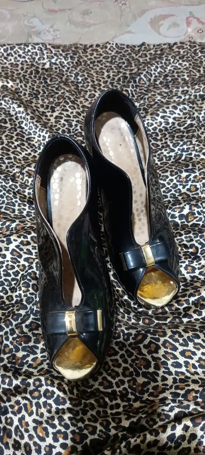 ست کیف وکفش شاین ودوجفت مجلسی|کیف، کفش، کمربند|ساری, |دیوار