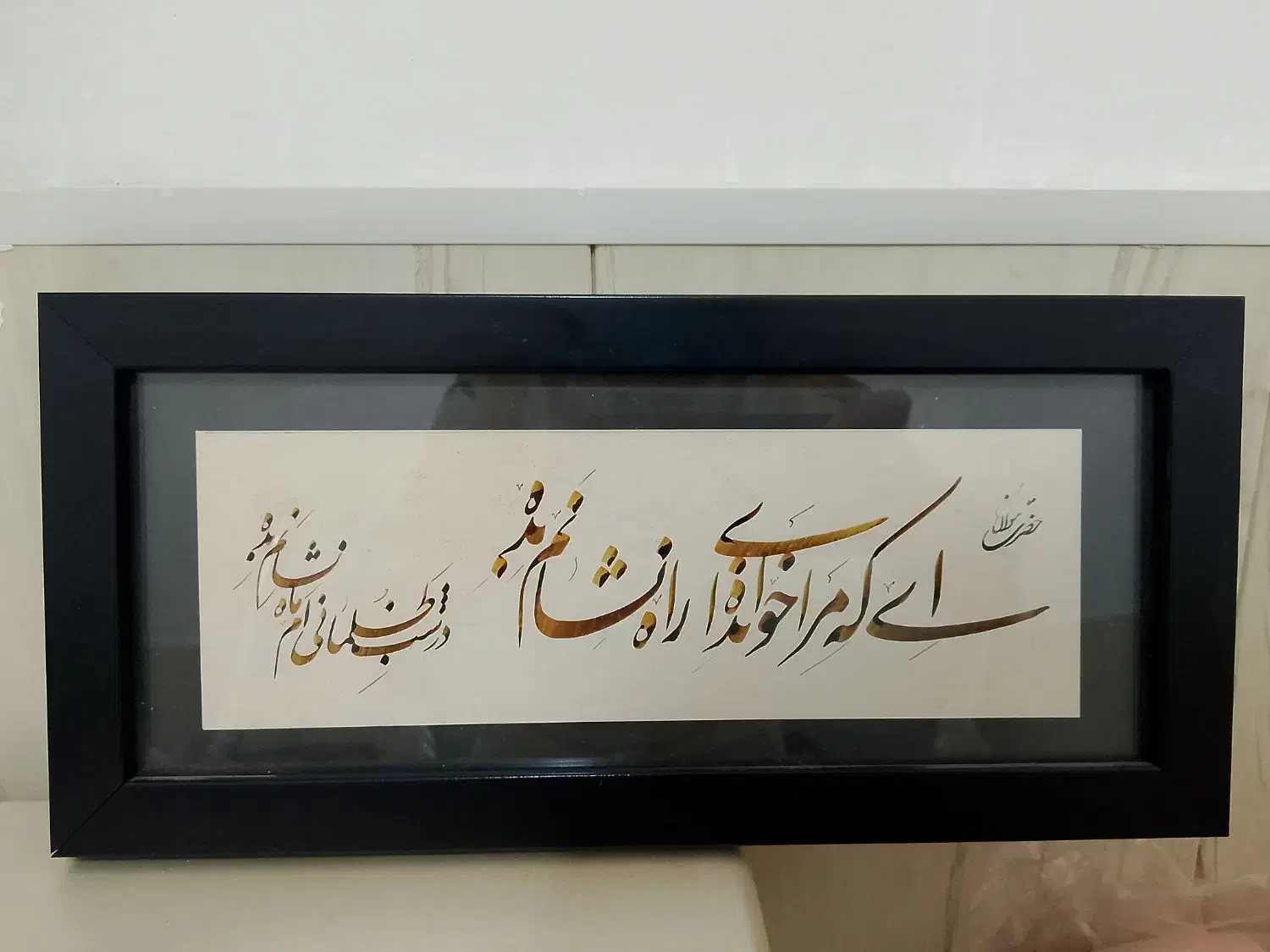 قاب عکس|کلکسیون و سرگرمی|تربتحیدریه, باغ سلطانی|دیوار