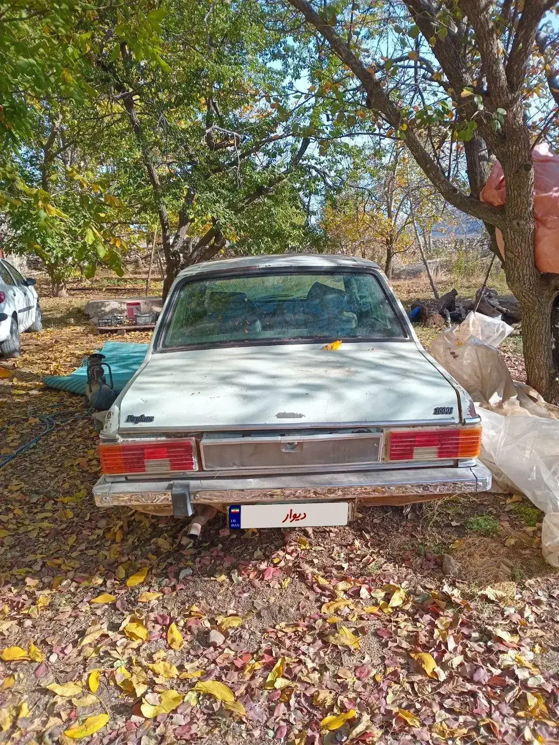 فروشی مدل ۸۱|خودرو سواری و وانت|یاسوج, |دیوار