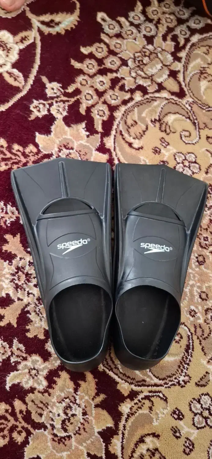 پافین شنا|غواصی و ورزش‌های آبی|کاشان, پاقپان|دیوار