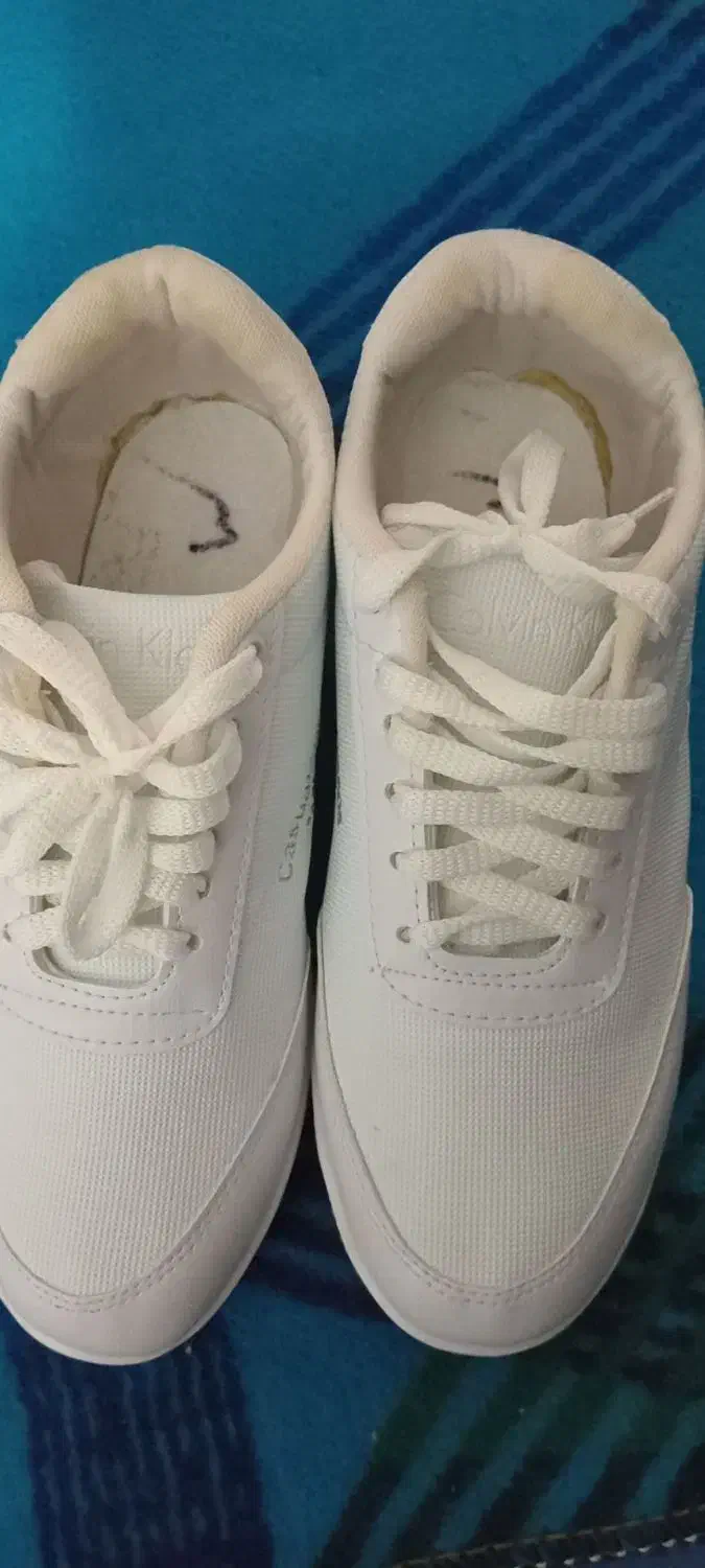 اسپورت سفید نو نو|کیف، کفش، کمربند|نهاوند, |دیوار