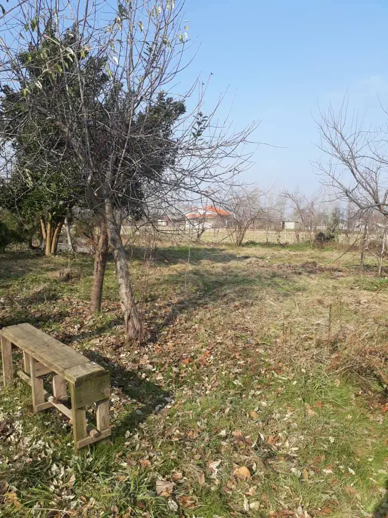 فروش زمین|فروش زمین و ملک کلنگی|سنگر, |دیوار