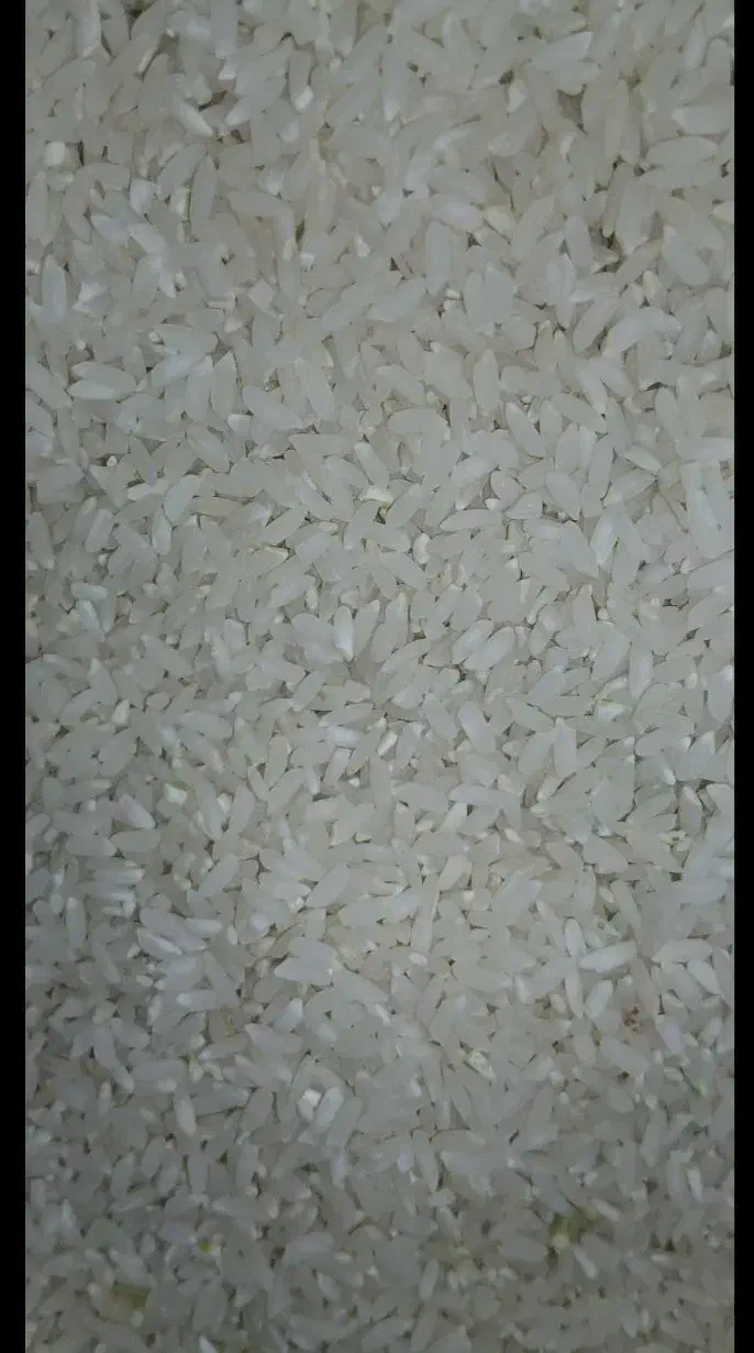 کشت امسال|خوردنی و آشامیدنی|بدره, |دیوار