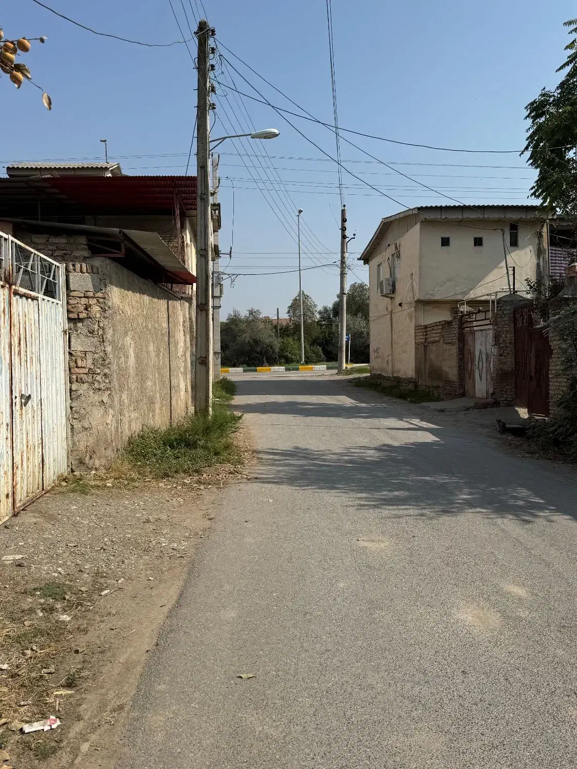 فروش زمین مسکونی|فروش زمین و ملک کلنگی|سرخنکلاته, |دیوار