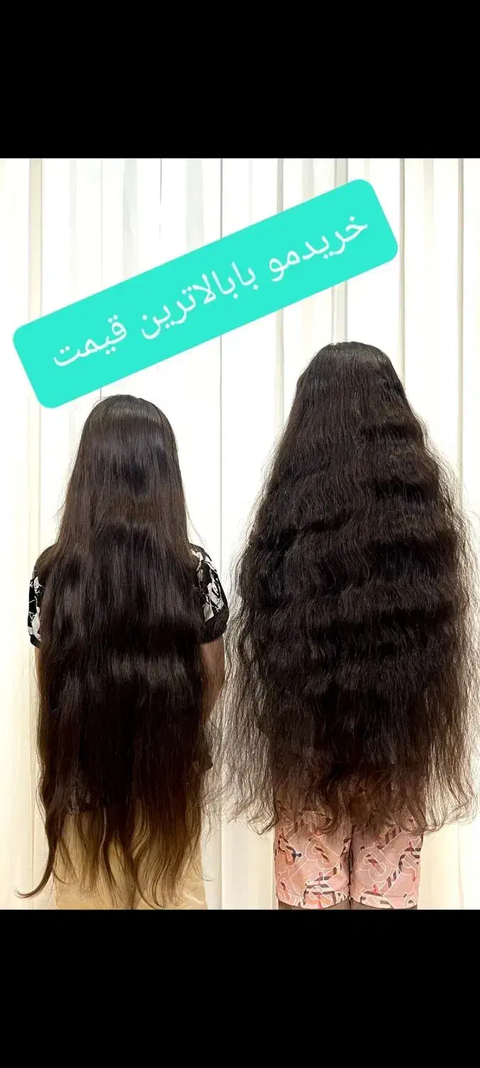 کلاه مو|آرایشگاه و سالنهای زیبایی|الشتر, |دیوار