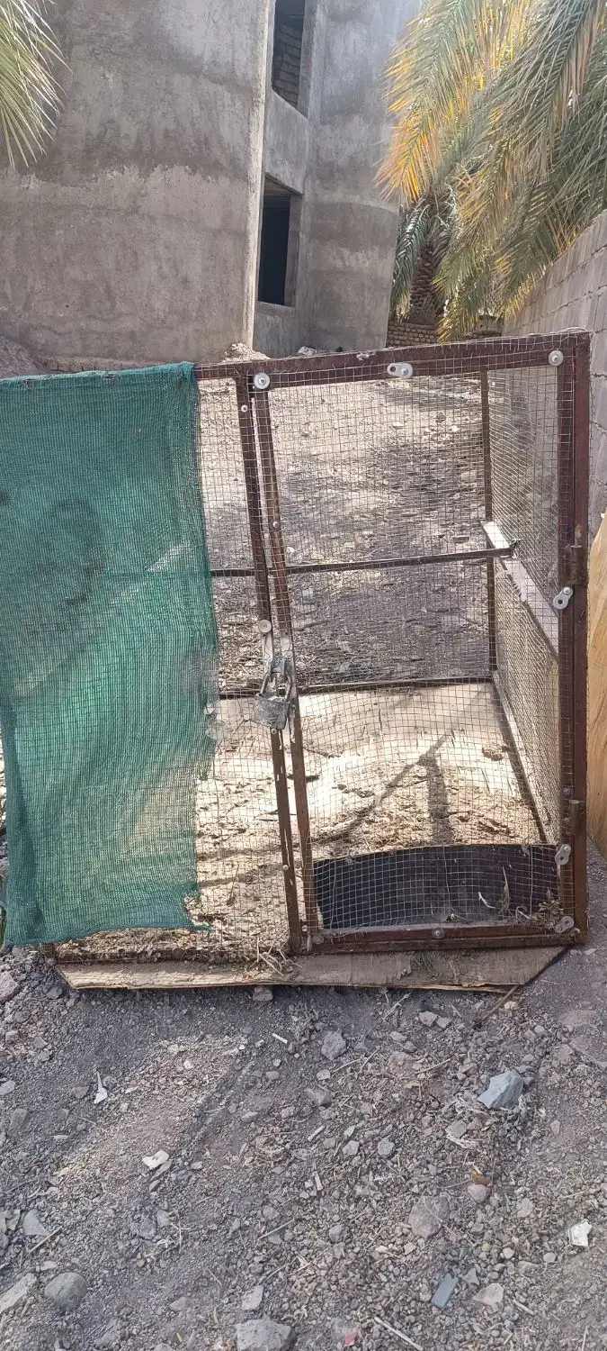 قفس|لوازم جانبی حیوانات|بم, |دیوار