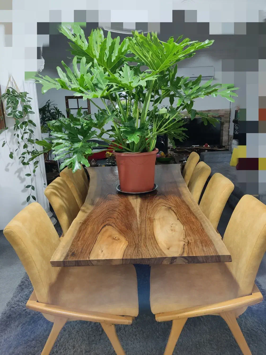 میز غذاخوری ده نفره ، بدون صندلی|میز و صندلی غذاخوری|آمل, |دیوار