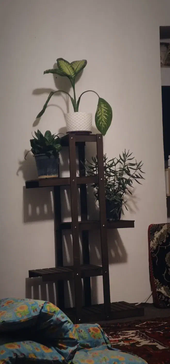 استند گل شیک تاشو|صنایع دستی و سایر لوازم تزئینی|تبریز, |دیوار