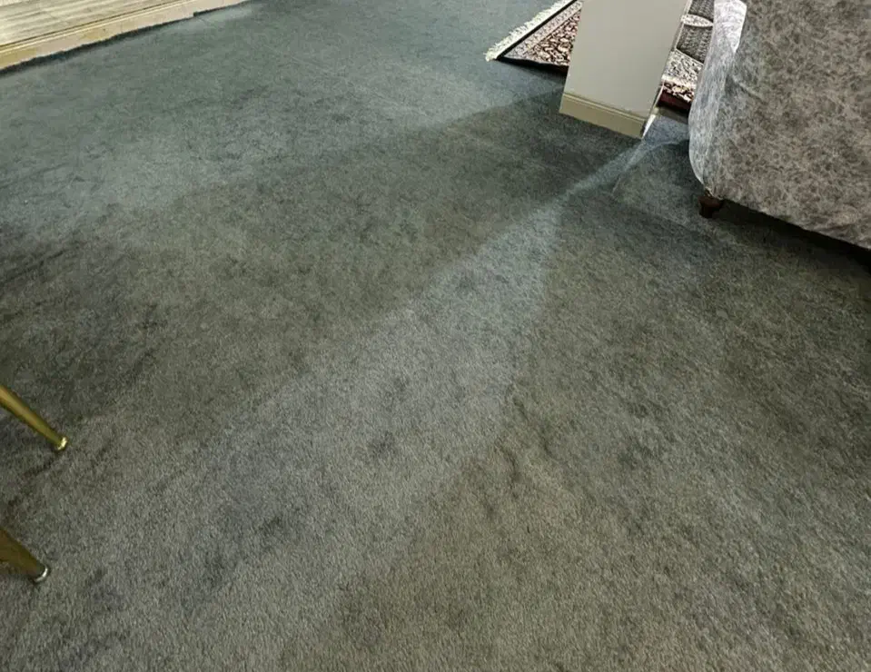 موکت پالاز|موکت|رامهرمز, |دیوار