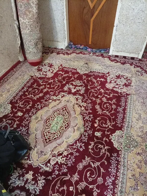 قالی|فرش|علی‌آباد کتول, |دیوار