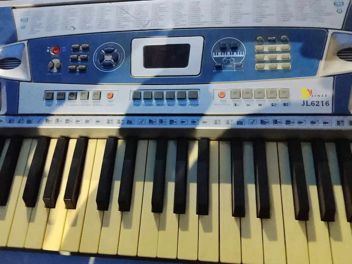 ارگ|پیانو، کیبورد، آکاردئون|زنجان, |دیوار