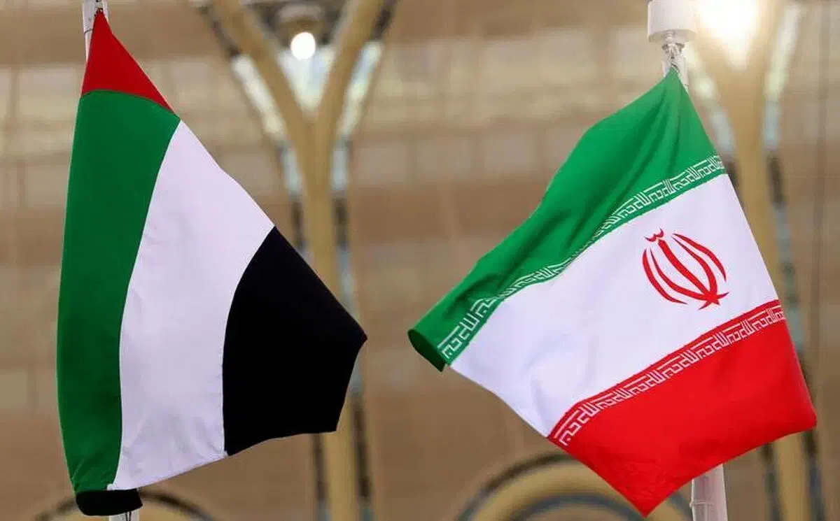 واردات/ترخیص کالا/ته لنجی/پلاک گذر موقت|خدمات حمل و نقل|تهران, بهاران|دیوار