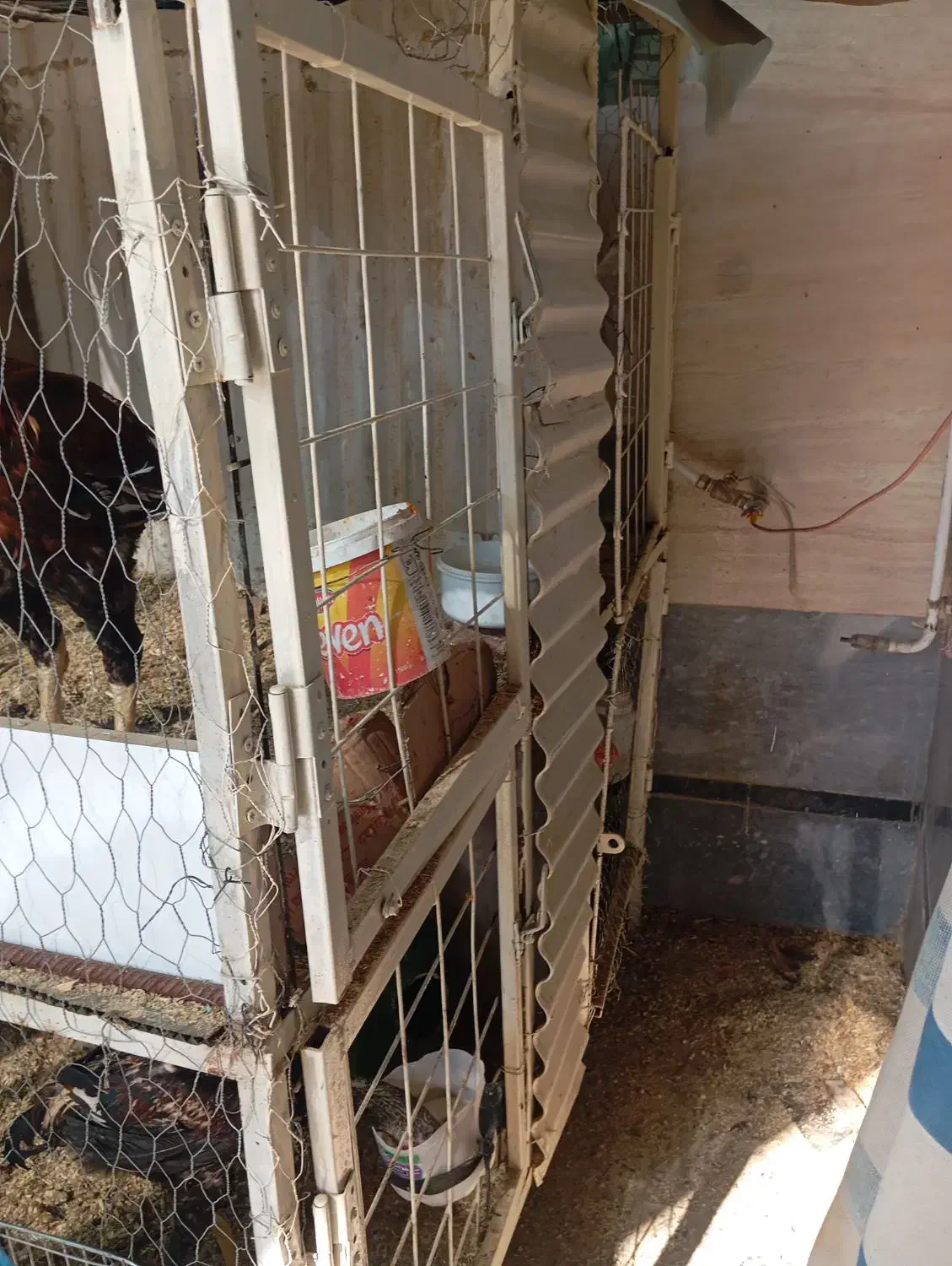 قفس دو طبقه بزرگ|لوازم جانبی حیوانات|شیراز, کرونی(خاتونک)|دیوار