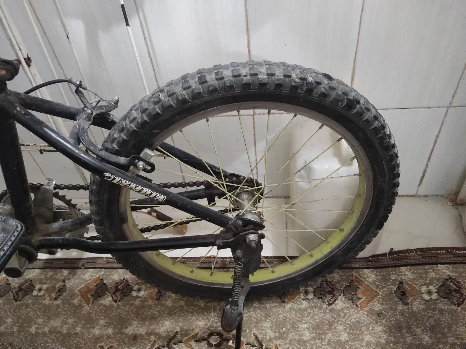 دوچرخه بیست|دوچرخه، اسکیت، اسکوتر|فردیس, منظریه|دیوار