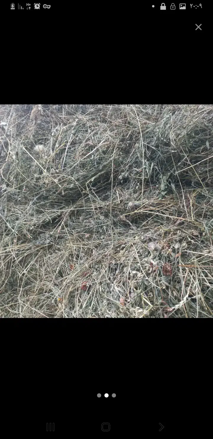 یونجه چین اخر|لوازم جانبی حیوانات|قره ضیاالدین, |دیوار